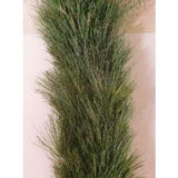 Pine Garland